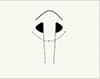 Attache de queue 5.0