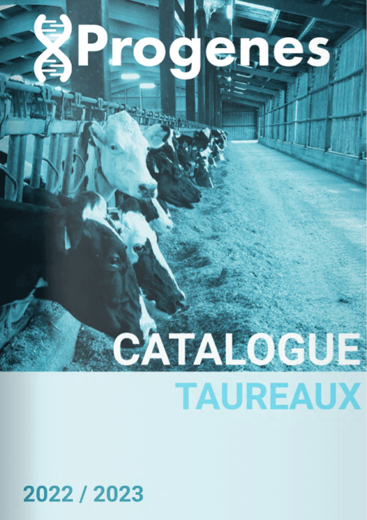 Catalogue Catalogue